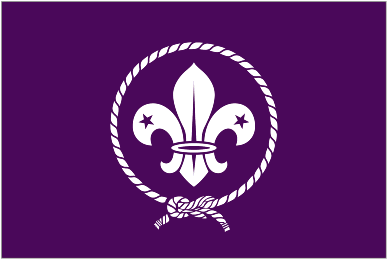 Флаг междунаровдой организации скаутов